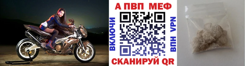 APVP СК Гдов