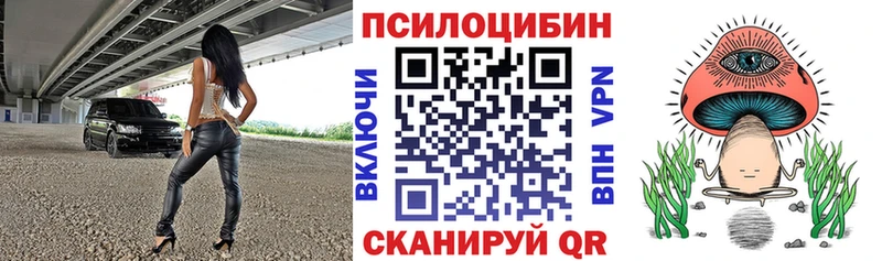 купить   Гдов  Галлюциногенные грибы Cubensis 